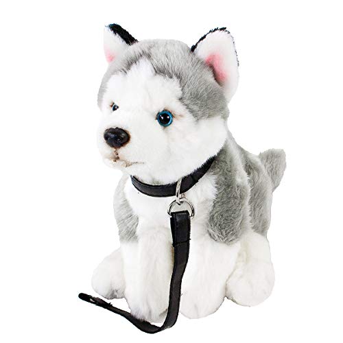 Teddys Rothenburg Kuscheltier Husky mit Leine sitzend grau/weiß 25cm (ohne Schwanz) Plüschhusky Plüschhund Uni-Toys von Teddys Rothenburg