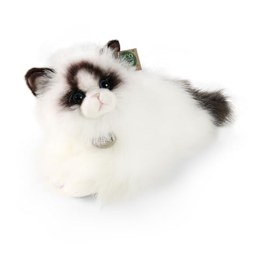 Teddys Rothenburg Kuscheltier Katze Ragdoll liegend weiß/schwarz 35 cm Plüschkatze Plüschtier Teddys Rothenburg Kuscheltier Katze Ragdoll liegend weiß/schwarz 35 cm Plüschkatze Plüschtier von Teddys Rothenburg