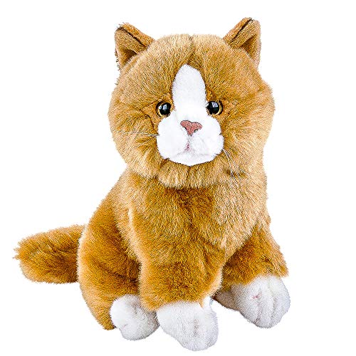 Teddys Rothenburg Kuscheltier Katze Sunny sitzend rotbraun weiß 30 cm Plüschkatze by Uni-Toys von Teddys Rothenburg
