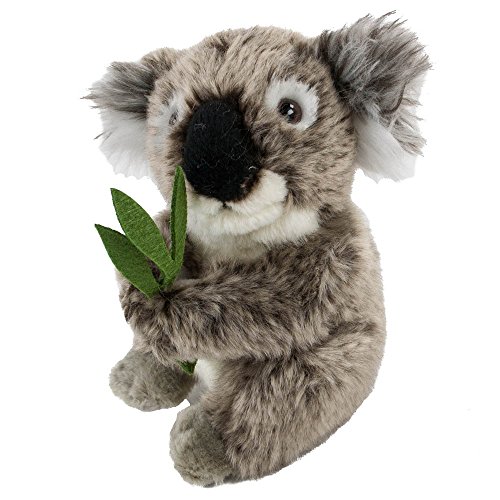 Teddys Rothenburg Kuscheltier Koalabär 16 cm mit Bambus grau/grün sitzend Plüschkoalabär Uni-Toys von Teddys Rothenburg