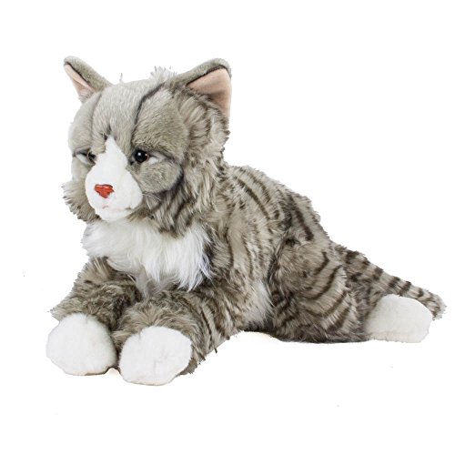 Teddys Rothenburg Kuscheltier Maine Coon norwegische Katze liegend grau getigert 38cm Plüschkatze Uni-Toys von Teddys Rothenburg
