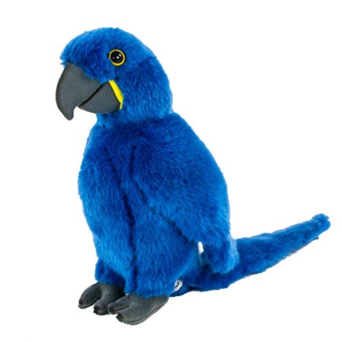 Teddys Rothenburg Kuscheltier Papagei sitzend blau 26 cm Plüschpapagei Plüschvogel von Teddys Rothenburg