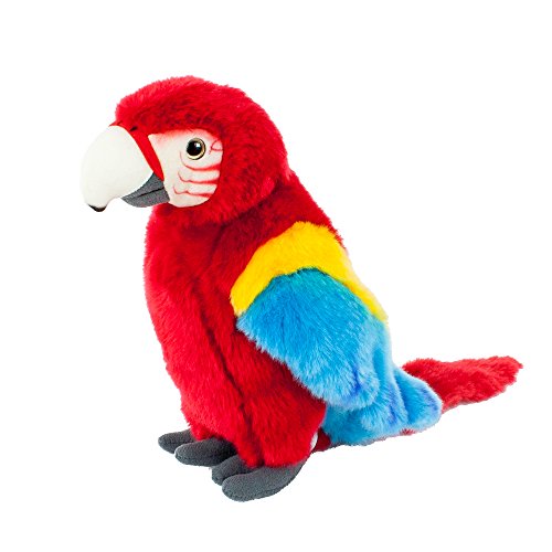 Teddys Rothenburg Kuscheltier Papagei stehend rot/blau/gelb 28 cm Plüschpapagei Plüschvogel by Uni-Toys von Teddys Rothenburg