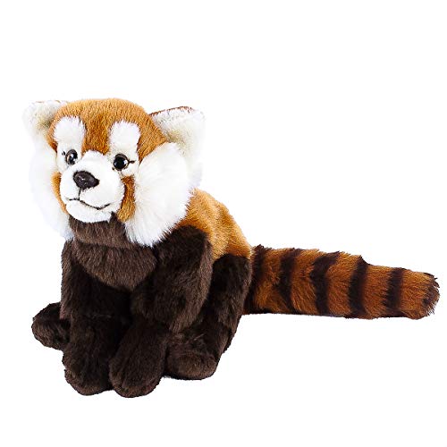Teddys Rothenburg Kuscheltier Roter Panda sitzend braun/Weiß 20 cm (mit Schwanz 37 cm) Plüschpanda by Uni-Toys von Teddys Rothenburg