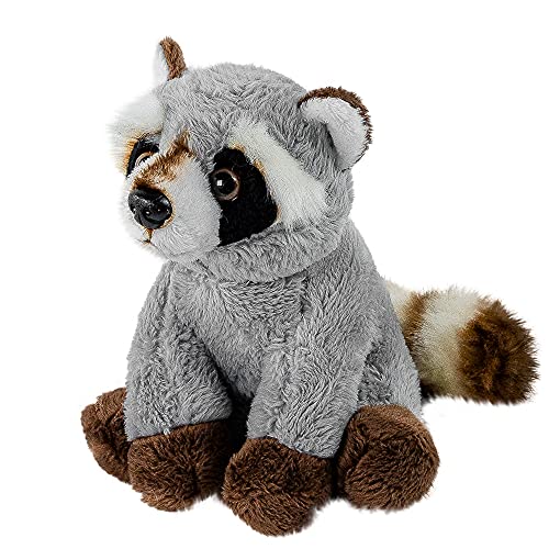 Teddys Rothenburg Kuscheltier Waschbär klein 12 cm Plüschtier Raccoon Teddys Rothenburg Kuscheltier Waschbär klein 12 cm Plüschtier Raccoon von Teddys Rothenburg