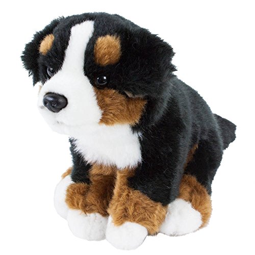 Uni-Toys Kuscheltier Berner Sennenhund Benni 22 cm sitzend braun/schwarz/weiß Plüschbernersennen Hund Plüschhund Uni-Toys Kuscheltier Berner Sennenhund Benni 22 cm sitzend braun/schwarz/weiß Plüschbernersennen Hund Plüschhund von Teddys Rothenburg