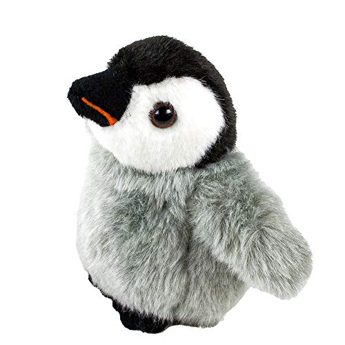 Teddys Rothenburg Kuscheltier Pinguin Baby stehend 12 cm grau/schwarz/weiß Plüschpinguin Teddys Rothenburg Kuscheltier Pinguin Baby stehend 12 cm grau/schwarz/weiß Plüschpinguin von Teddys Rothenburg