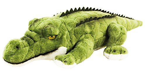 Teddys Rothenburg Kuscheltier Krokodil 34 cm liegend grün Plüschkrokodil Plüschalligator Uni-Toys von Teddys Rothenburg