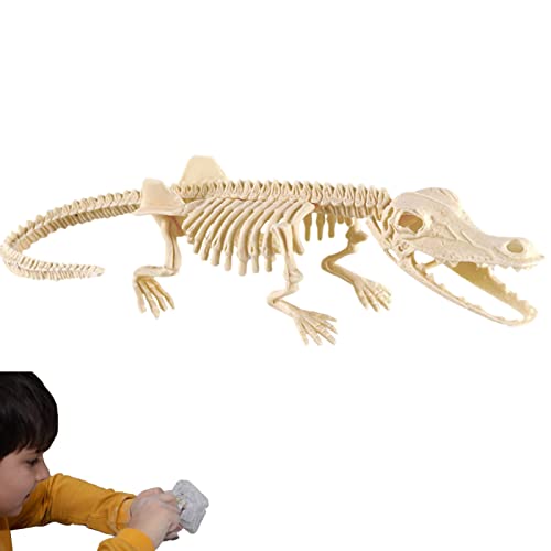 Dinosaurier-Fossil-Kit, Praktische Dinosaurier-Skelett-Spielzeugfiguren Dino Bone, Pädagogisches Geschenk für Science Play Dino Sand Dig Party Favor Decor Tedious von Tedious