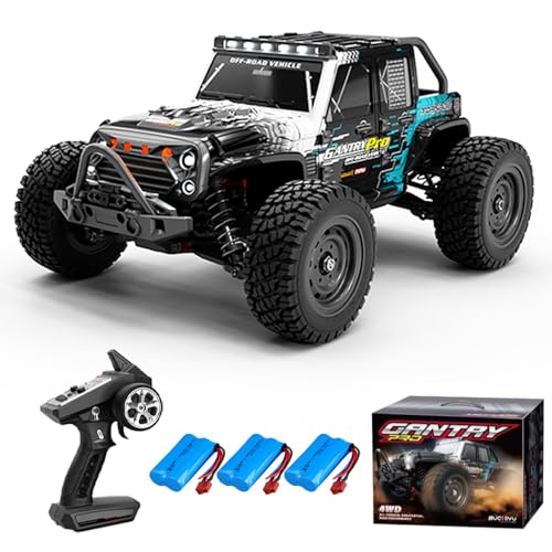 Teeggi Ferngesteuertes Auto 70km/h, 1:16 Bürstenloser Motor RC Hohe Geschwindigkeit Offroad Drift Rennauto, 4WD Off Road Race Buggy für Erwachsene (16103Pro) von Teeggi