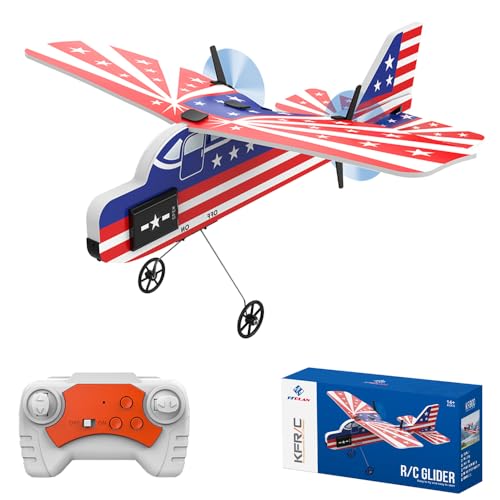 Teeggi Mini RC Flugzeug für Anfänger, Kinder und Erwachsene, 2.4GHz 2CH Ferngesteuertes Segelflugzeug Kämpfer mit Farbigen Lichtern, Fliegen für den Innen und Außenbereich von Teeggi