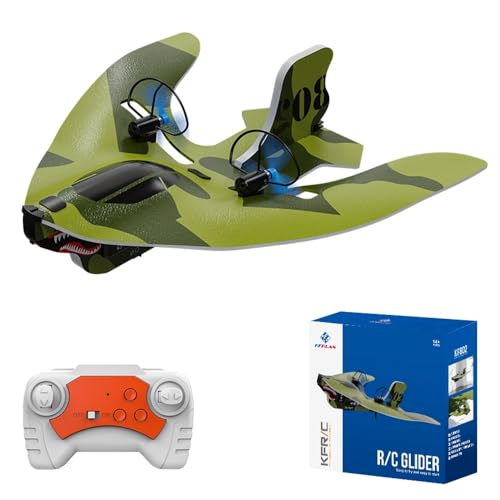 Teeggi Mini RC Flugzeug für Anfänger 2.4GHzliegen für den Innen und Außenbereich von Teeggi