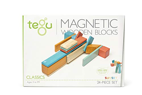 TEGU 5700389 Holzbausteine magnetisch, 24-teiliges Set, Orange-Blau, Holzspielzeug für Kinder ab 12 Monaten TEGU 5700389 Holzbausteine magnetisch, 24-teiliges Set, Orange-Blau, Holzspielzeug für Kinder ab 12 Monaten von Tegu