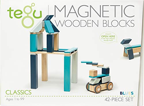 TEGU 5700510 Holzbausteine magnetisch, Blautöne, 42 Teile, Holzspielzeug für Kinder ab 12 Monate von Tegu