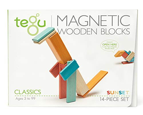 TEGU 5701363 Holzbausteine magnetisch, Holzspiele-Set, orange-blau, Holzspielzeug für Kinder ab 12 Monate von Tegu