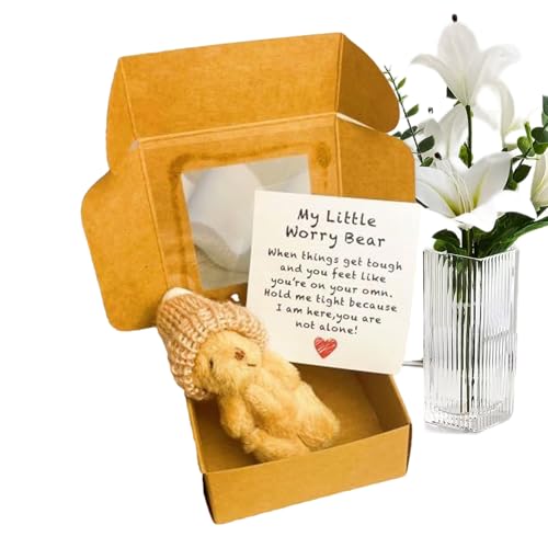 Teksome Winzige Bären - Ausgestopfter Bär im Karton,Geschenkidee Mit Karte Und Sinnspruchtasche Für Kinder Mütter Kleinkinder Valentinstag Weihnachten von Teksome