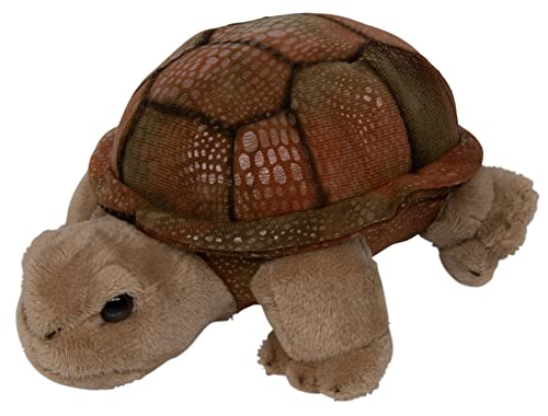 Teopet Schildkröte-Kuscheltier Emma 18 cm groß – Flauschige Plüsch Landschildkröte – sehr weich - Realistisches Plüschtier aus nachhaltigen Materialien – Stofftier Geschenk für Babys, Kinder Teopet Schildkröte-Kuscheltier Emma 18 cm groß – Flauschige Plüsch Landschildkröte – sehr weich - Realistisches Plüschtier aus nachhaltigen Materialien – Stofftier Geschenk für Babys, Kinder von Teopet