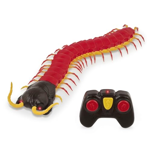Terra by Battat – Remote Control Toy – RC Centipede – LED Eyes & Remote – Batteries Included – 6 Years + – Giant Scolopendra von Terra by Battat