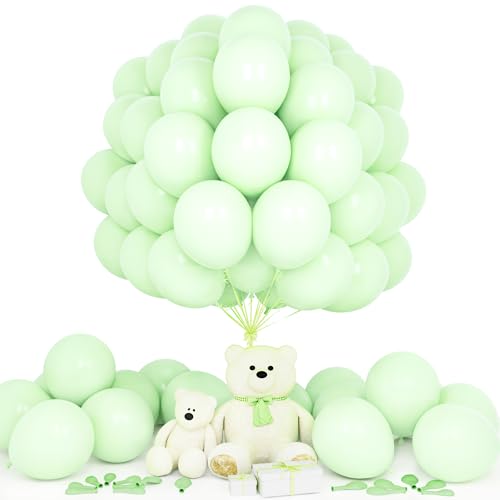 Teselife Luftballons Pastell Grün, 50 Stück 12 Zoll Macaron Baby Grün Ballons Girlande Mädchen Junge Kinder Geburtstag Hochzeit Jahrestag Valentinstag Abschlussfeier Baby Shower Bachelor Party Teselife Luftballons Pastell Grün, 50 Stück 12 Zoll Macaron Baby Grün Ballons Girlande Mädchen Junge Kinder Geburtstag Hochzeit Jahrestag Valentinstag Abschlussfeier Baby Shower Bachelor Party von Teselife