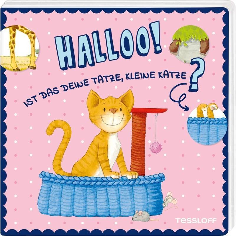 Halloo! Ist das deine Tatze, kleine Katze? von Tessloff Verlag Ragnar Tessloff GmbH & Co. KG