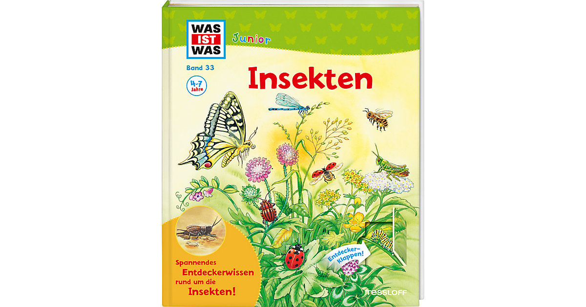 Buch - WAS IST WAS Junior: Insekten Buch - WAS IST WAS Junior: Insekten von Tessloff Verlag