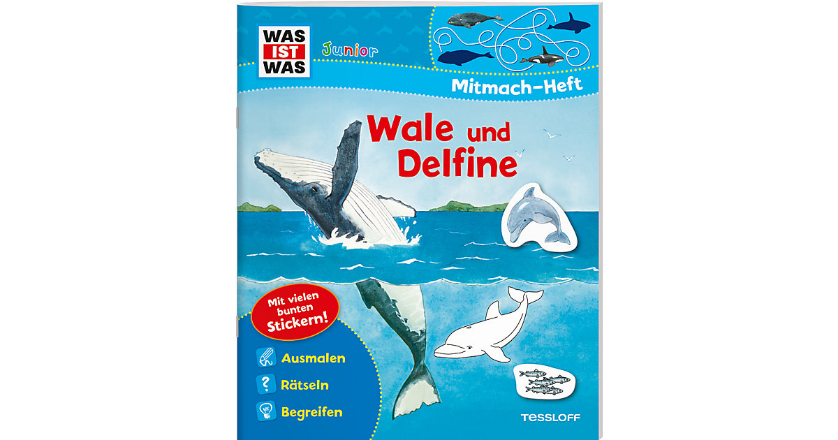 Buch - Wale und Delfine von Tessloff Verlag