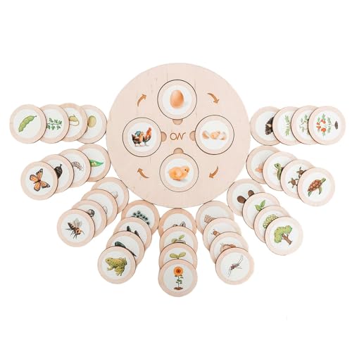 Puzzle des Lebenszyklus – Lebenszyklus-Puzzle-Set mit Tieren, Insekten und Insekten, Puzzles aus Holz, Assoziationsspiel mit Tierfiguren, Geschenk für Lernprojekte von Tewzafiya