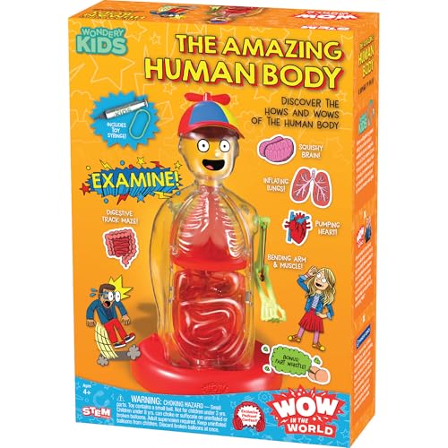 Wow in The World The Amazing Human Body Kit von Thames & Kosmos, interaktives mechanisches Anatomie-Modell mit pumpendem Herz, Lunge, Verdauungstrakt, leuchtende Knochen, Gehirn und mehr, Wissenschaft Wow in The World The Amazing Human Body Kit von Thames & Kosmos, interaktives mechanisches Anatomie-Modell mit pumpendem Herz, Lunge, Verdauungstrakt, leuchtende Knochen, Gehirn und mehr, Wissenschaft von Thames & Kosmos
