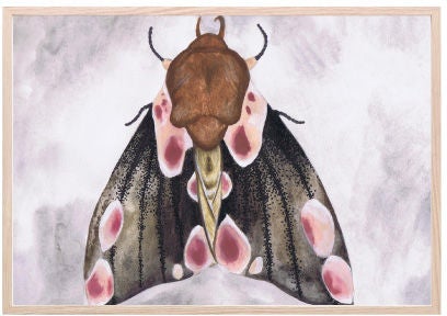 That's Mine Poster A Moth's Beauty 30x40 That's Mine Poster A Moth's Beauty 30x40 von That's Mine