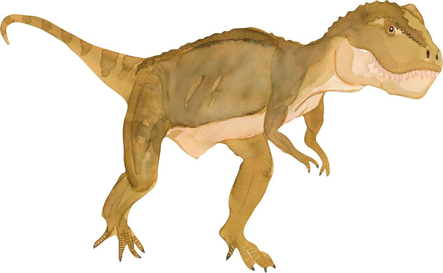 That's Mine Wandaufkleber T-Rex, Grün That's Mine Wandaufkleber T-Rex, Grün von That's Mine