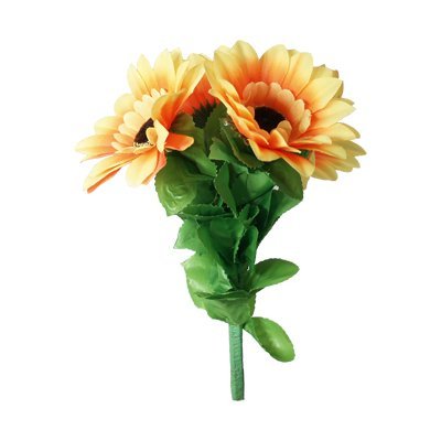 Amazing Split Sunflower by Premium Magic - Trick Amazing Split Sunflower by Premium Magic - Trick von The Essel Magic