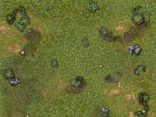 Die Gaming Mat Company Dungeons and Dragons DND Grassland Spielmatte – 91x122cm x 4mm OHNE Raster Battle Mat Tischdecke Spielunterlage für Tabletop-RPG Würfelspiele – ideal für D&D & andere RPGs. Die Gaming Mat Company Dungeons and Dragons DND Grassland Spielmatte – 91x122cm x 4mm OHNE Raster Battle Mat Tischdecke Spielunterlage für Tabletop-RPG Würfelspiele – ideal für D&D & andere RPGs. von The Gaming Mat Company