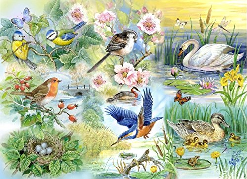 ‚Big 250’ Puzzle - Gefiederte Freunde - Vogelschutz-und Enten (Feathered Friends - Wild Birds & Ducks) von The House of Puzzles