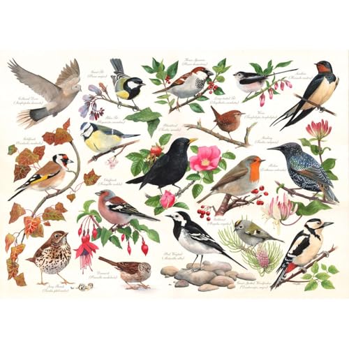 The House Of Puzzles Puzzle 1000 Teile - Birds In My Garden von The House of Puzzles