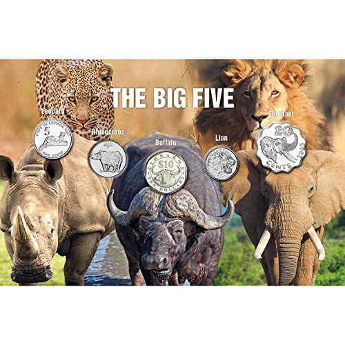 Authentische, echte Silbermünzen, Kollektion Big Five Animals Authentische, echte Silbermünzen, Kollektion Big Five Animals von The Koin Club