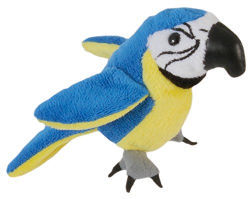 The Puppet Company Ara Fingerpuppe, Blau und Gold von The Puppet Company
