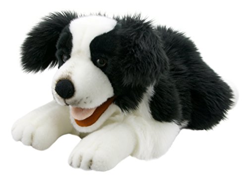 The Puppet Company - Playful Puppies - Border Collie, PC003007 von The Puppet Company