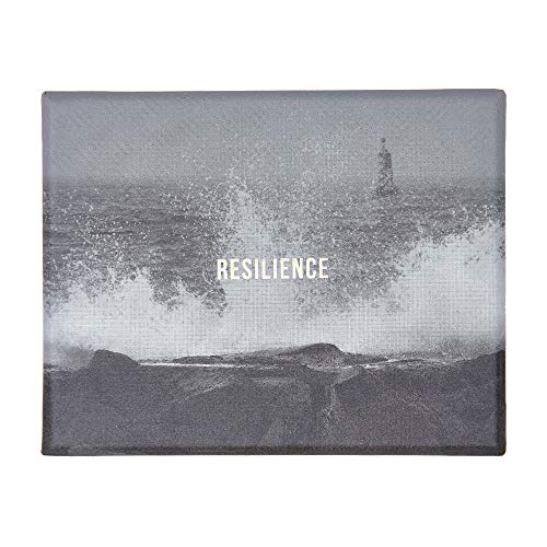 The School Of Life - Resilience Cards - Finden Sie Vertrauen im Angesicht der Widrigkeit The School Of Life - Resilience Cards - Finden Sie Vertrauen im Angesicht der Widrigkeit von The School Of Life