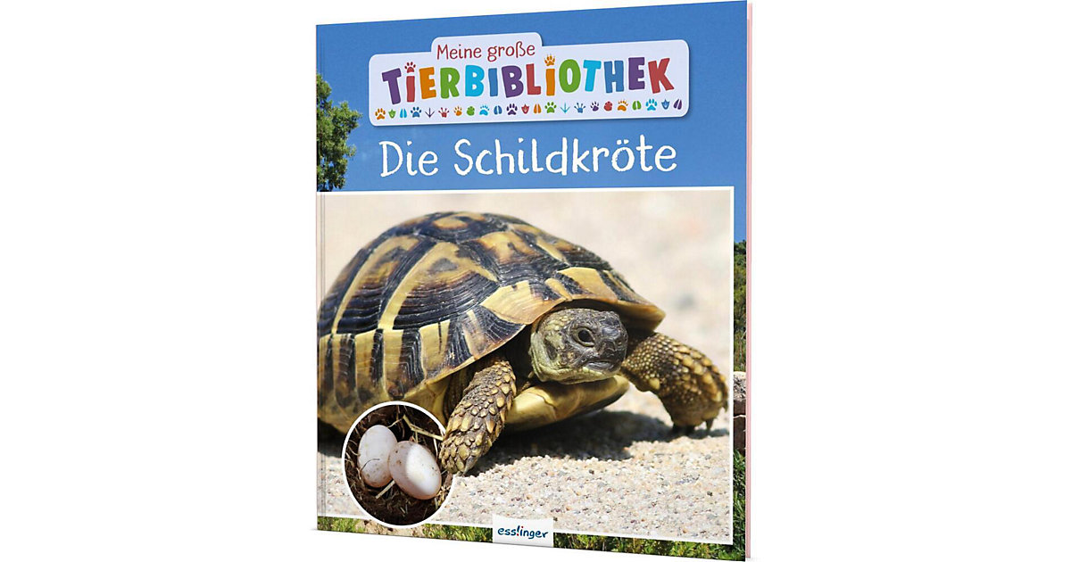 Buch - Meine große Tierbibliothek: Die Schildkröte von Thienemann Esslinger Verlag