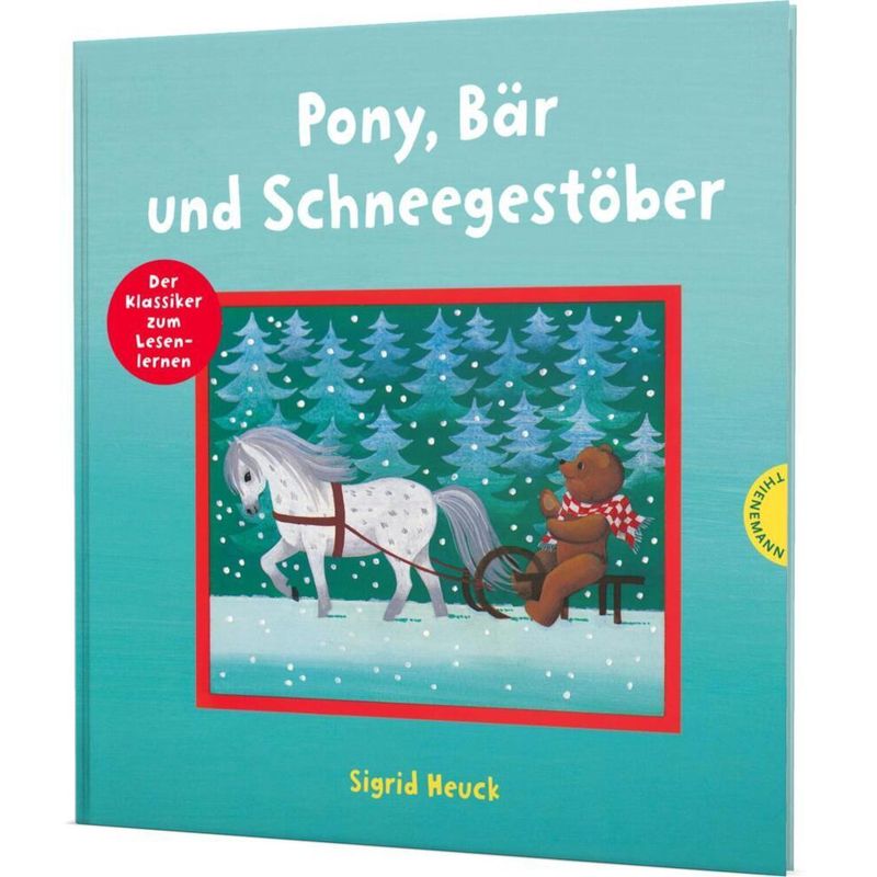 Pony, Bär und Schneegestöber von Thienemann in der Thienemann-Esslinger Verlag GmbH