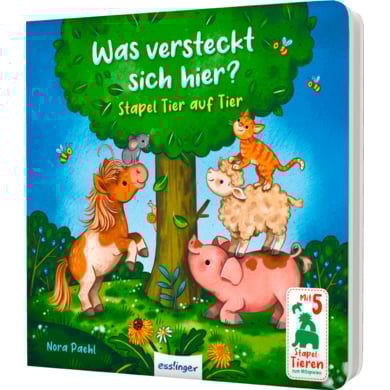 Thienemann Was versteckt sich hier? von Thienemann