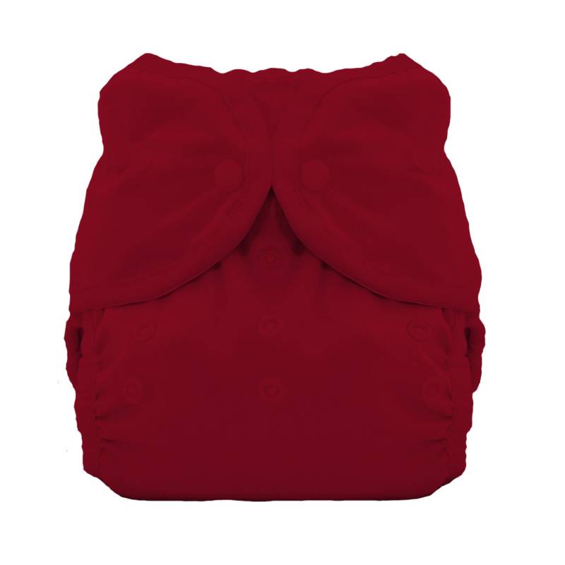 Thirsties Duo Wrap Überhose (Druck) - Größe 1 (3 - 8 kg) Holly Berry von Thirsties