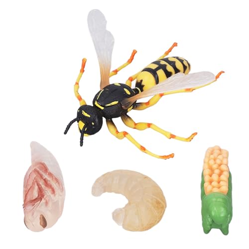 Kunststoff Insektenfiguren, Wespenbienen Wachstumszyklus Modell, Lebensecht Biologie Pädagogisches Lernspielzeug, Partybevorzugungen für Kinder 3 4 5 6 7 8 Jahre alt von Threegoat