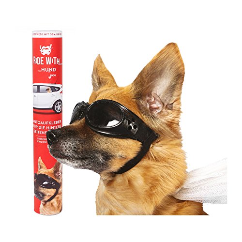 Ride With - "A Dog" Fenstersticker "Hund" 30,5 x 30 x 0,1 cm - eine thumbs UP! BRAND - 1001725 Ride With - "A Dog" Fenstersticker "Hund" 30,5 x 30 x 0,1 cm - eine thumbs UP! BRAND - 1001725 von Thumbs Up