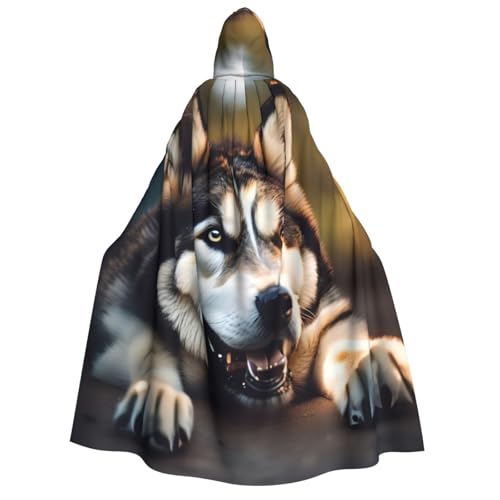 Kapuzenumhang mit niedlichem Husky-Aufdruck für Erwachsene, Halloween, Weihnachten, Party, Cosplay Kapuzenumhang mit niedlichem Husky-Aufdruck für Erwachsene, Halloween, Weihnachten, Party, Cosplay von TietYaer