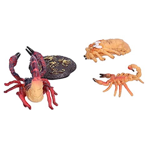 Tihebeyan Kunststoff -Skorpion -Lebenszyklus Figuren Set, Bildungsinsekten Lebensstil Stufen Spielzeug für 3+ Jahre Alt (Skorpion-Wachstumszyklus 1) von Tihebeyan