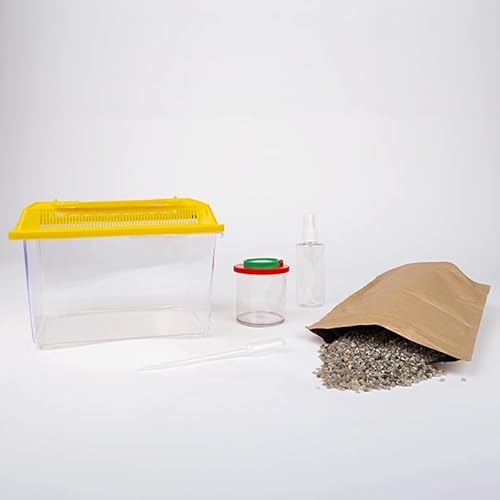 Beobachtungs-Set Schnecken, 5-TLG. Beobachtungs-Set Schnecken, 5-TLG. von TimeTEX