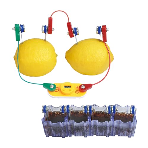 Hagemann Zitronen-Batterie Experimentierset für Kinder ab 8 Jahren | Strom mit Obst erzeugen | Mit LED-, Sound- & Uhr-Modul | Mint-Set für Schule, Freizeit & Unterricht | 19-teiliges Lernspielzeug Hagemann Zitronen-Batterie Experimentierset für Kinder ab 8 Jahren | Strom mit Obst erzeugen | Mit LED-, Sound- & Uhr-Modul | Mint-Set für Schule, Freizeit & Unterricht | 19-teiliges Lernspielzeug von TimeTEX