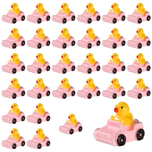 Tinoaly 30stk Mini Kunstharz Enten, Lebensechte Kleine Enten Kleine -Enten Kunstharz Miniatur-Enten Kunstharz Kleine Enten Ideales Garten Puppenhaus MiniaturLandschaftsdekorationszubehör(Rosa) von Tinoaly