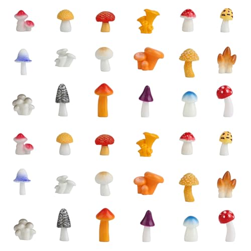 Tinoaly 36stk Mini-Pilze aus Kunstharz, 18 Stile Bunte Winzige Pilze Kleine Miniatur Figuren für Zuhause Feengarten Puppenhaus Mikrolandschaft Kuchen Outdoor DIY Basteln Dekorationsbedarf Tinoaly 36stk Mini-Pilze aus Kunstharz, 18 Stile Bunte Winzige Pilze Kleine Miniatur Figuren für Zuhause Feengarten Puppenhaus Mikrolandschaft Kuchen Outdoor DIY Basteln Dekorationsbedarf von Tinoaly